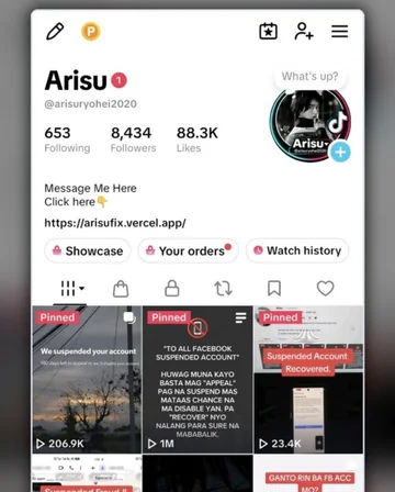 Preview of Arisu's TikTok profile and pinned recovery videos