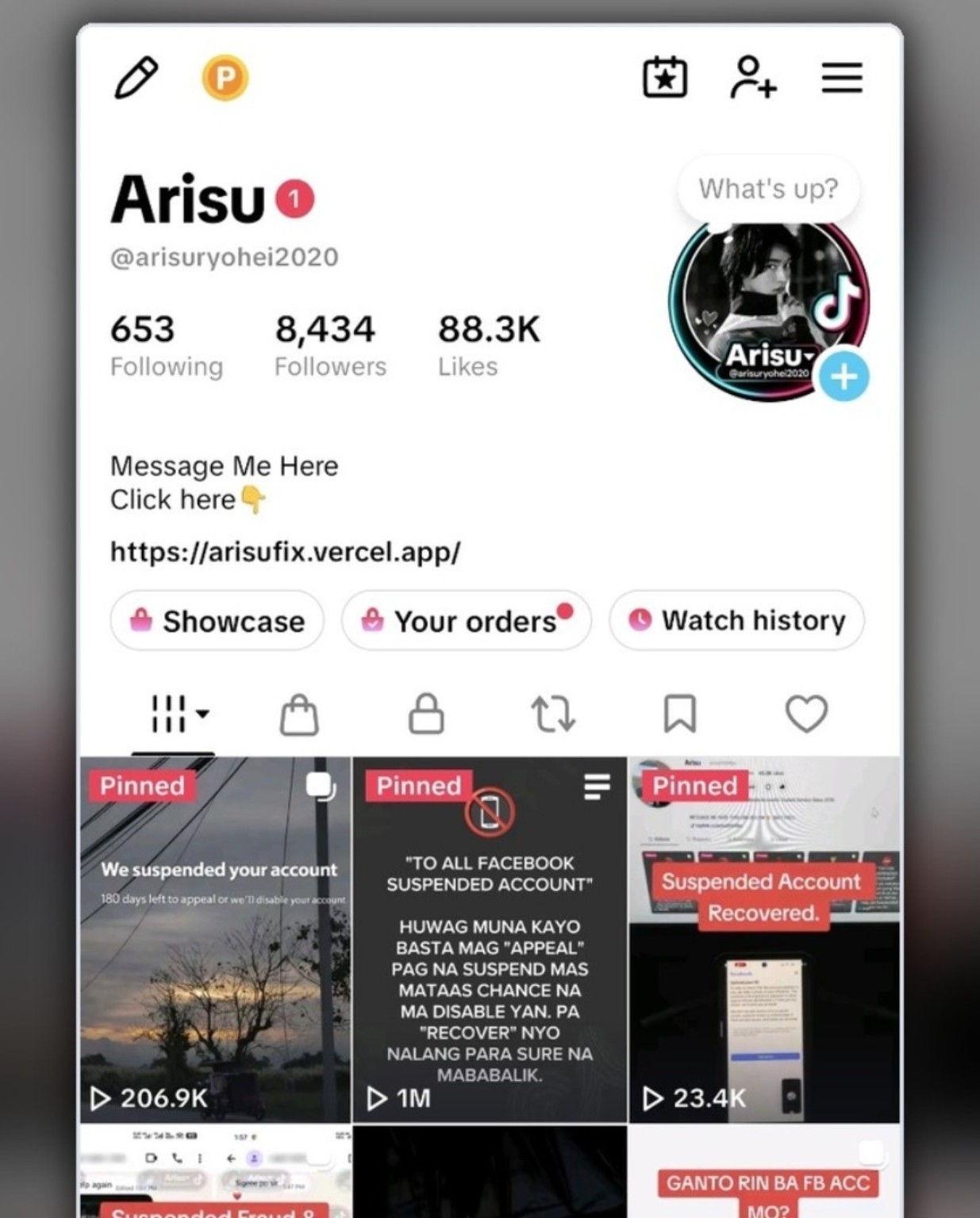Preview of Arisu's TikTok profile and pinned recovery videos